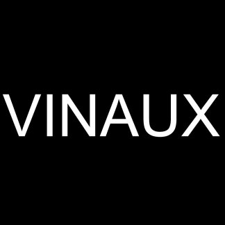 Music Producer - Vinaux