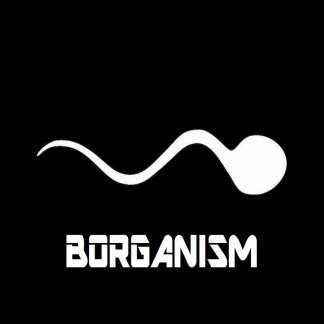 Music Producer - Borganism