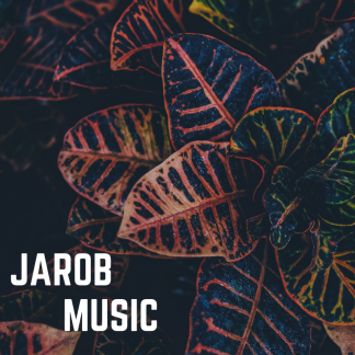 Music Producer - jarob