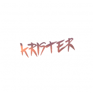 Music Producer - krister