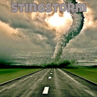 Music Producer - StingStorm