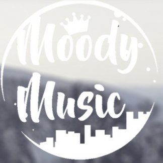 Music Producer - MoodyMusic