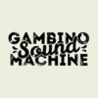 Music Producer - GambinoSound