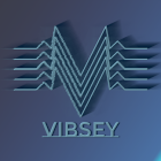 Music Producer - Vibsey