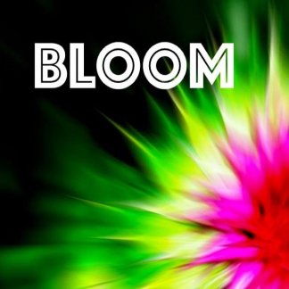 Music Producer - Bloom