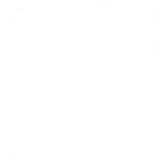 Music Producer - Aldous