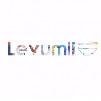 Music Producer - Levumii