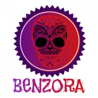 Music Producer - Benzora