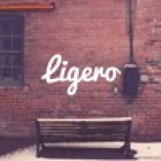 Music Producer - Ligero