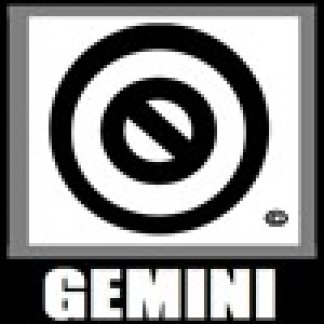 Music Producer - Gemini