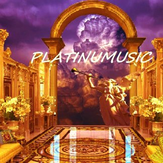 Music Producer - b_paradise