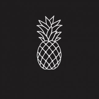 Music Producer - Mr.Pineapple101