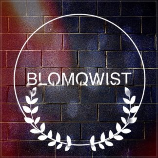 Music Producer - Blomqwist