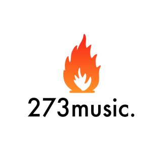 Music Producer - 273music