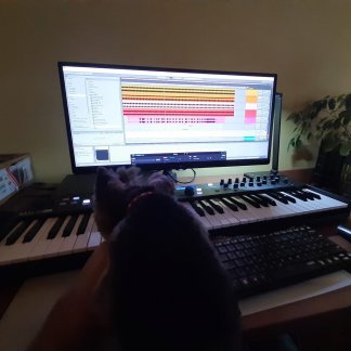 Music Producer - dhevesi