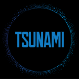 Music Producer - TSUNAAMI