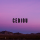 Music Producer - Cediou