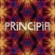 Music Producer - principia